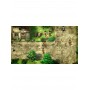 Suikoden I & II HD Remaster Gate Rune and Dunan Unification Wars PS5